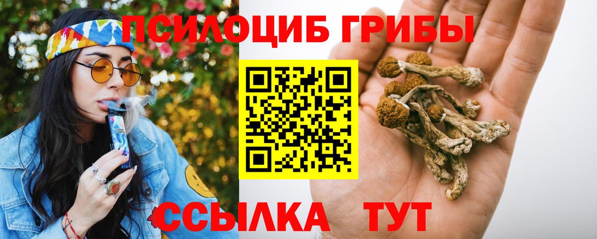 Псилоцибиновые грибы прущие грибы Сланцы